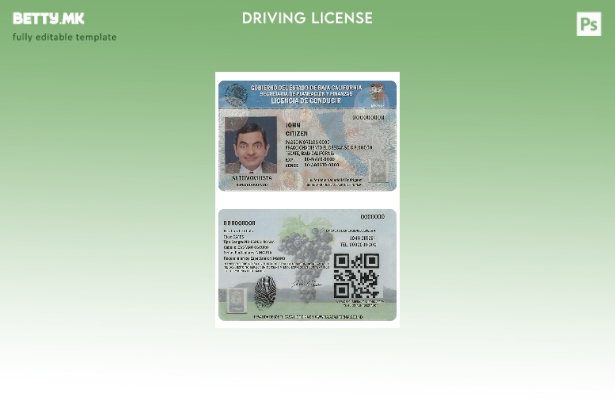 Модерен стил шаблон за возачка дозвола Мексико Долна Калифорнија